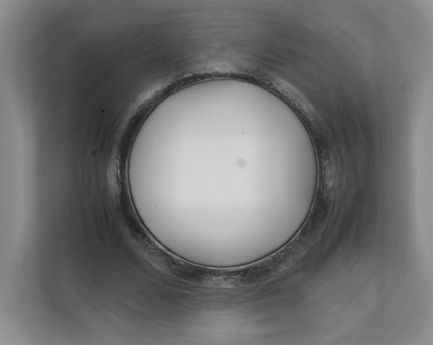 X0000111470680200908031400