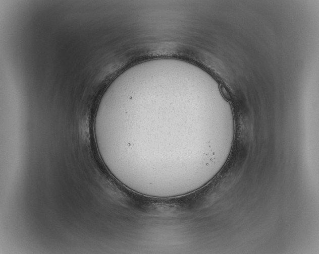 X0000111470681200908031400