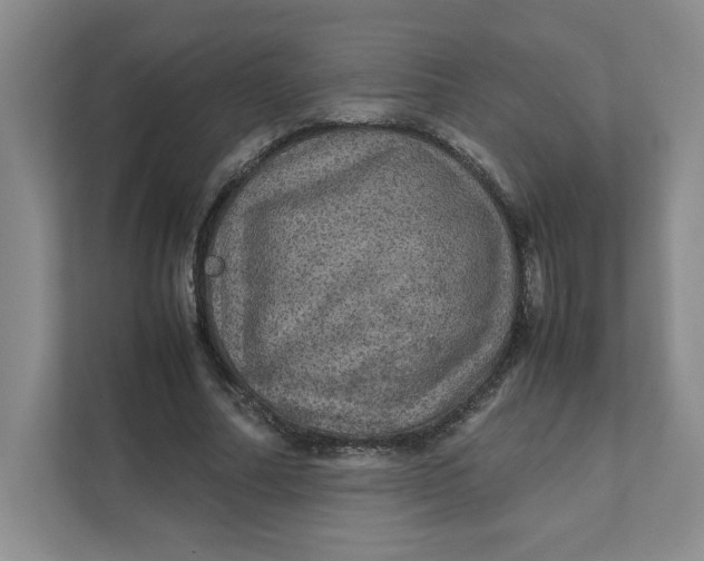 X0000111470682200908031400