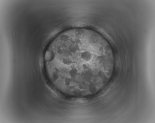 X0000111470683200908031400