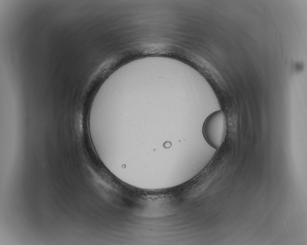 X0000111470686200908031400