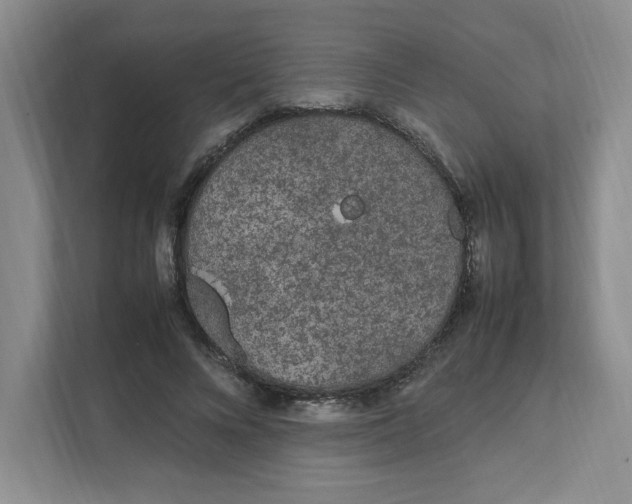 X0000111470688200908031400