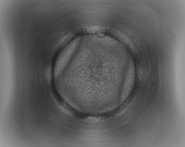 X0000111470690200908031400