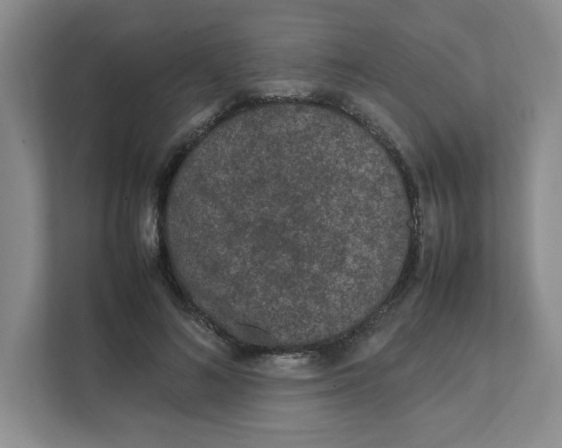 X0000111470692200908031400