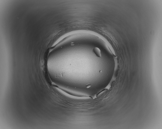 X0000111470693200908031400