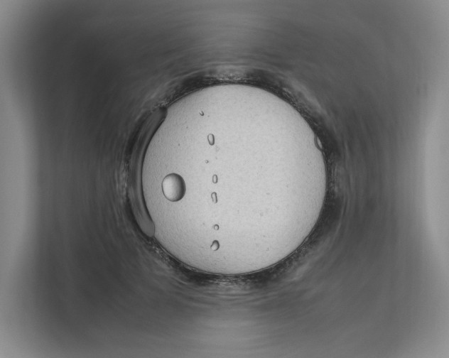 X0000111470697200908031400