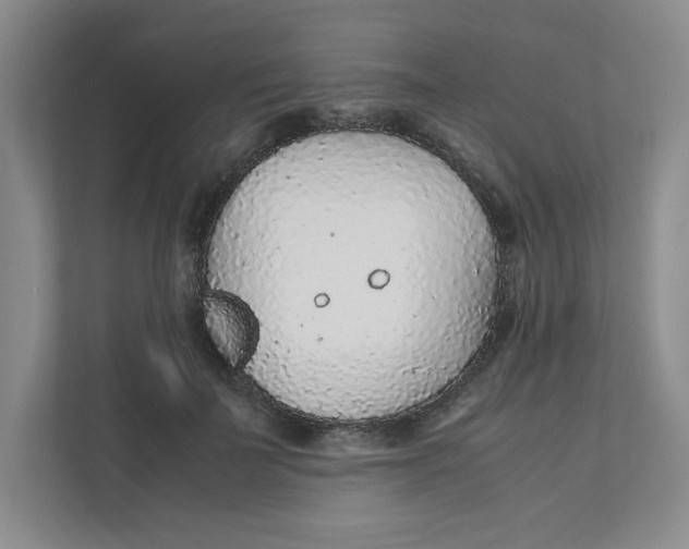 X0000111470699200908031400