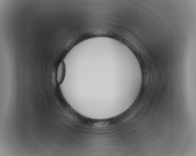 X0000111470700200908031400