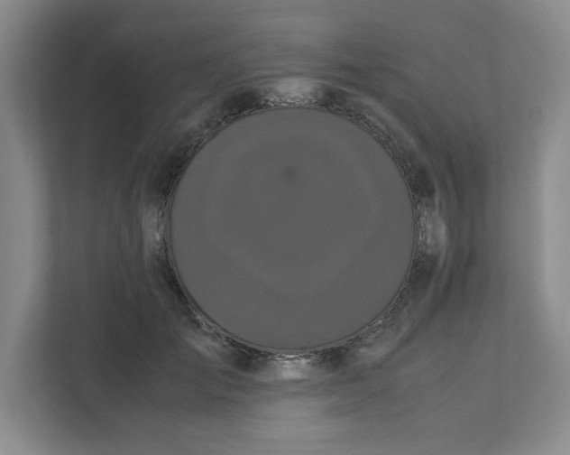 X0000111470701200908031400