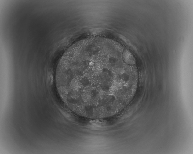 X0000111470703200908031400