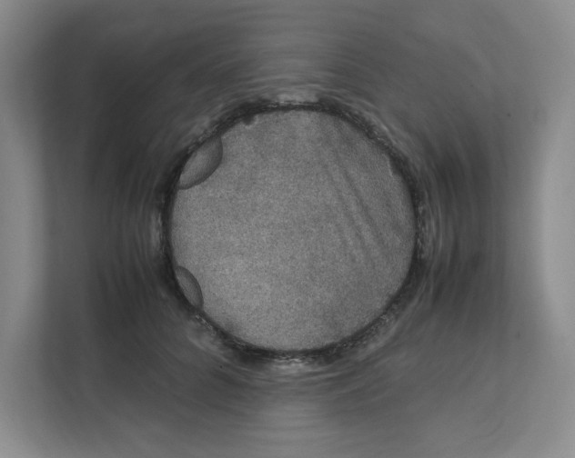 X0000111470704200908031400