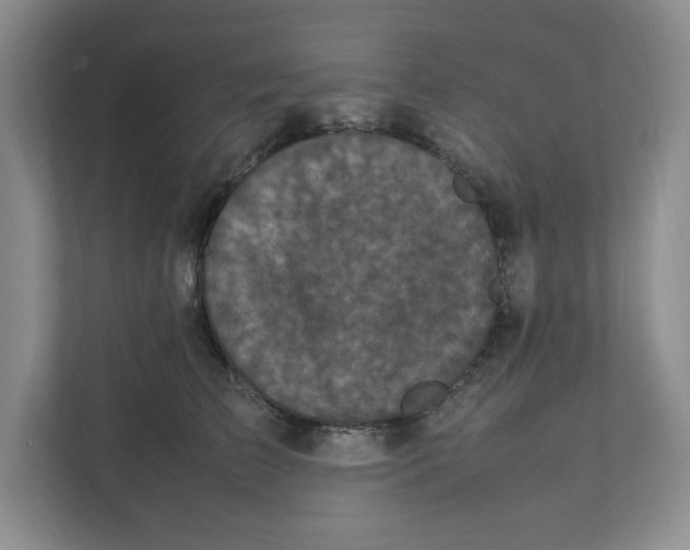 X0000111470709200908031400