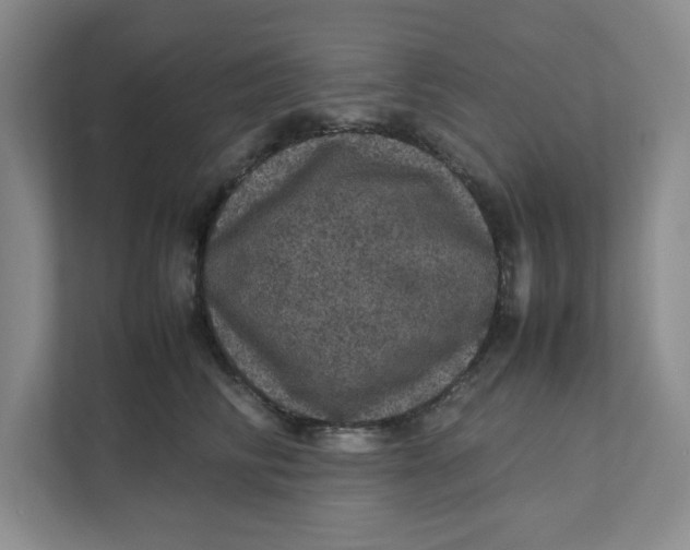 X0000111470710200908031400