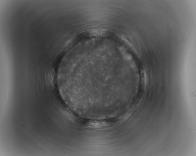 X0000111470712200908031400