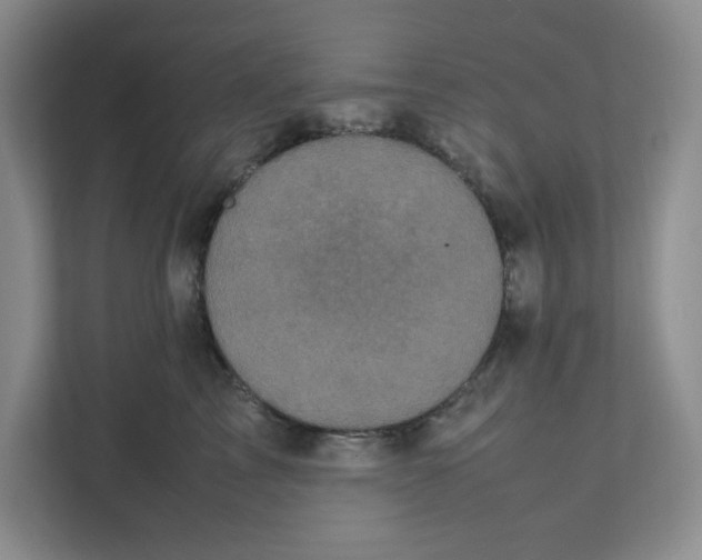 X0000111470713200908031400