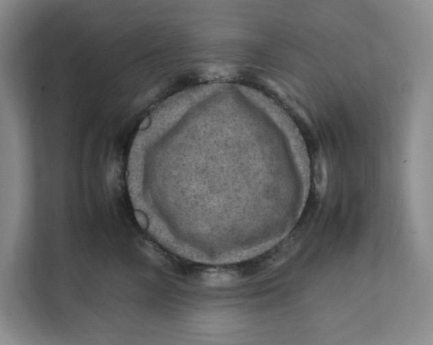 X0000111470714200908031400