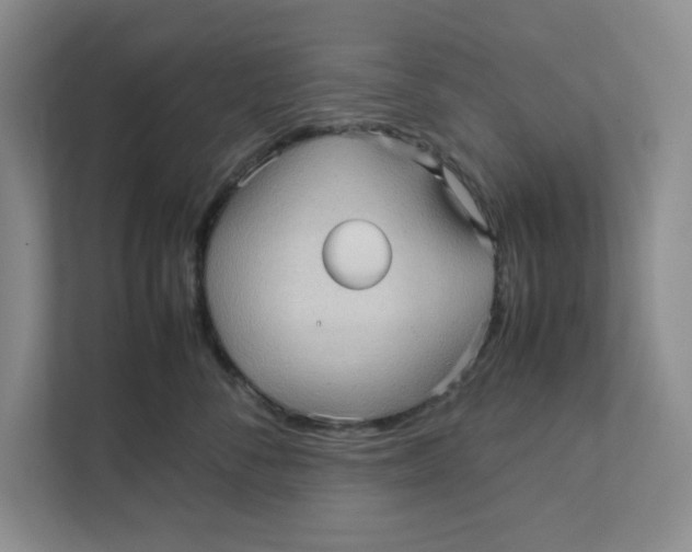 X0000111470716200908031400