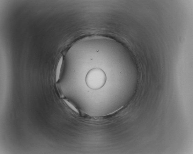 X0000111470720200908031400