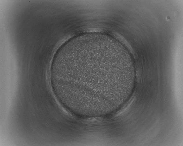 X0000111470721200908031359