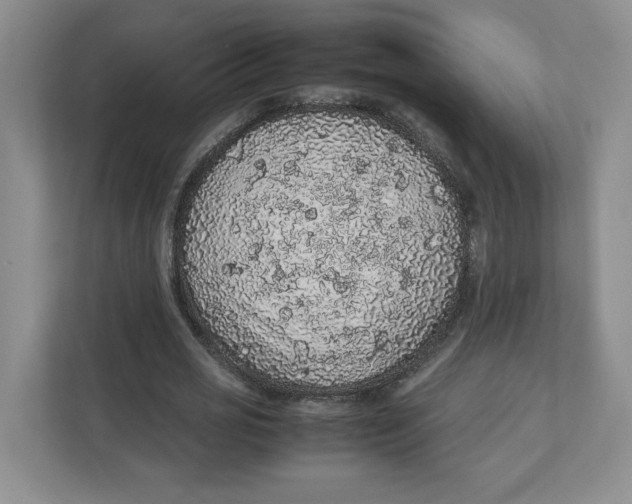 X0000111470725200908031359