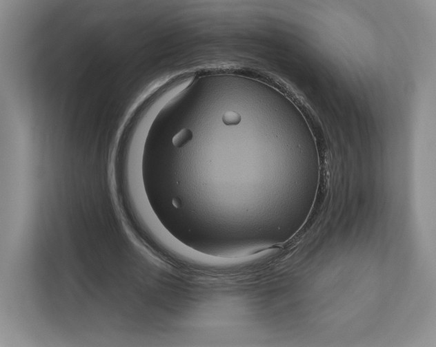 X0000111470726200908031359