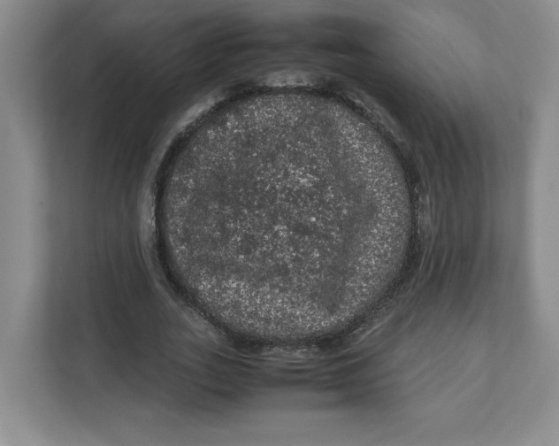 X0000111470727200908031359