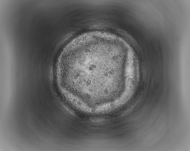 X0000111470729200908031359