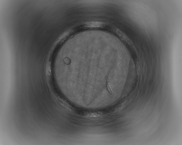 X0000111470731200908031359