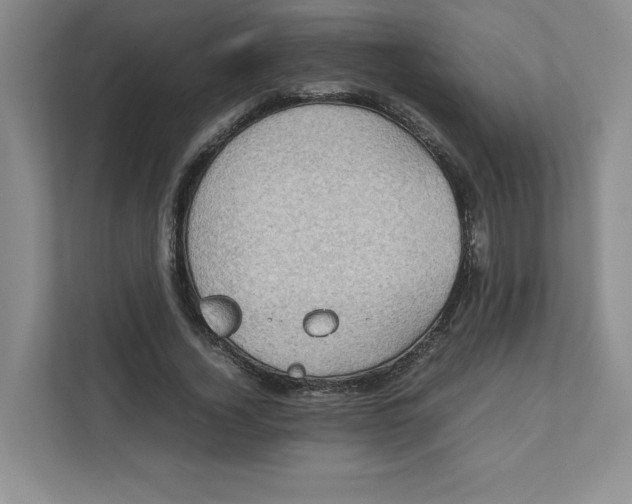 X0000111470732200908031359