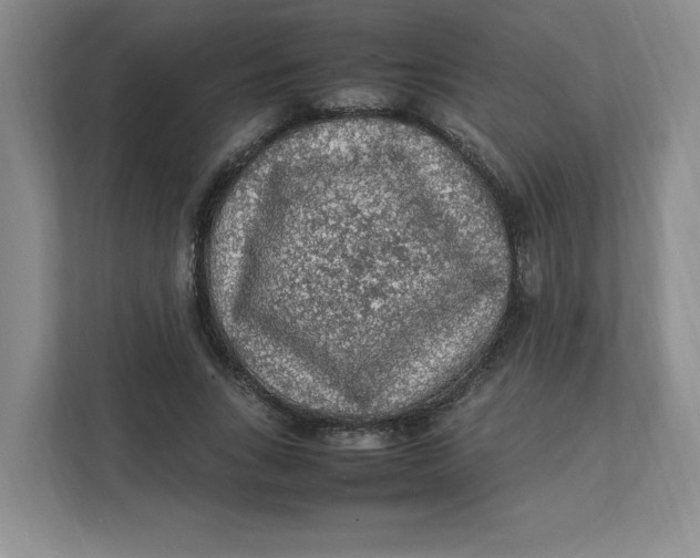 X0000111470735200908031359