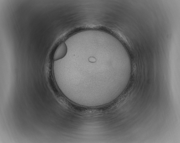 X0000111470736200908031359