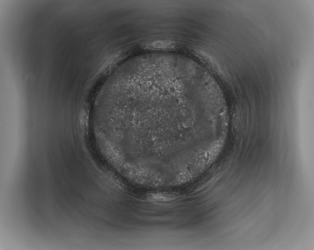 X0000111470739200908031359