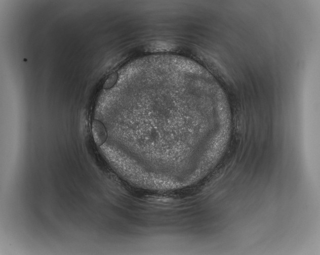 X0000111470743200908031359