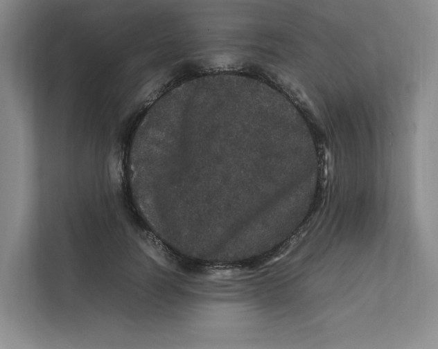 X0000111470746200908031359