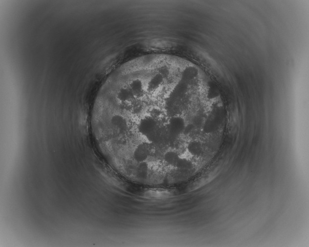 X0000111470749200908031359