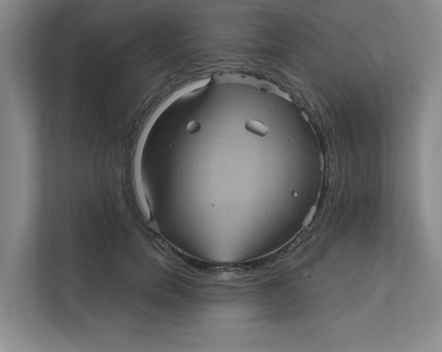 X0000111470750200908031359