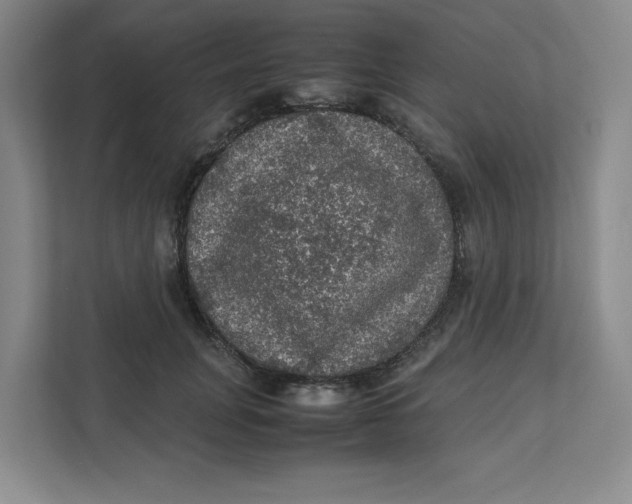 X0000111470751200908031359