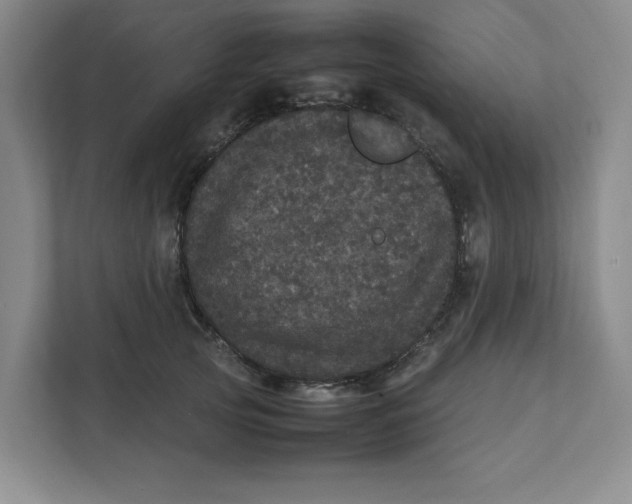 X0000111470753200908031359