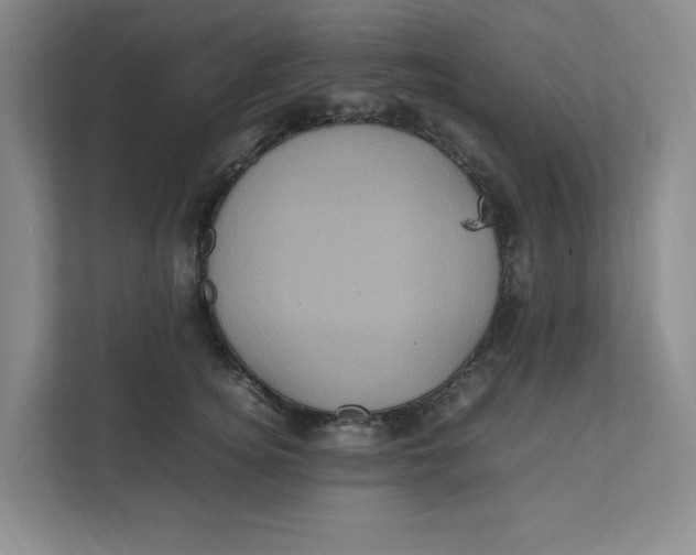 X0000111470756200908031359