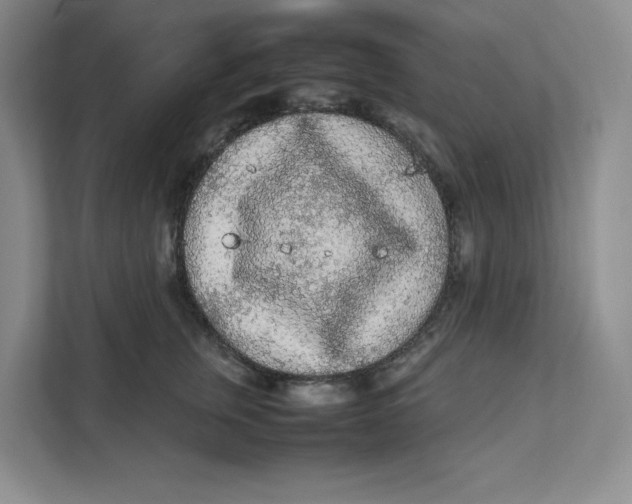 X0000111470759200908031359