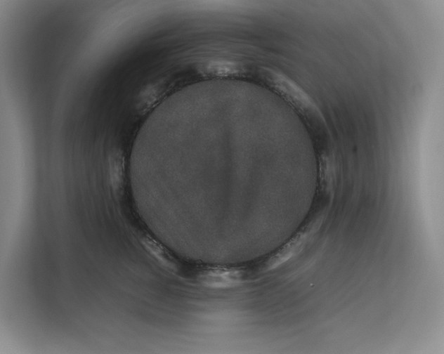 X0000111470760200908031359