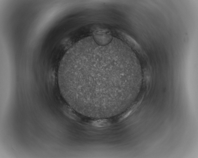 X0000111470761200908031359