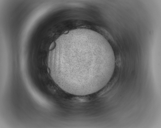 X0000111470763200908031359