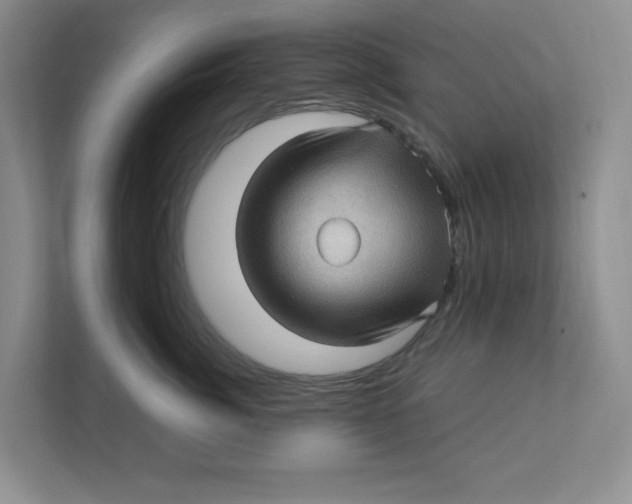 X0000111470764200908031400