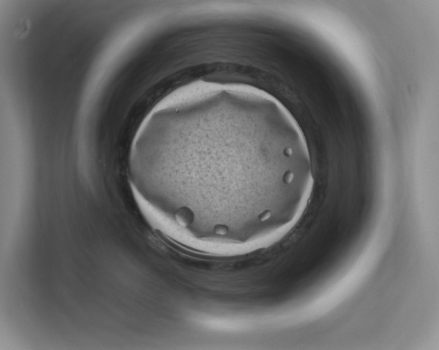 X0000111470766200908031400