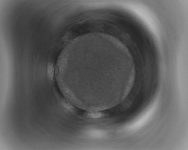 X0000111470767200908031400