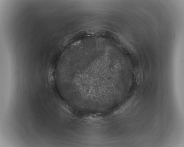 X0000111470770200908031359