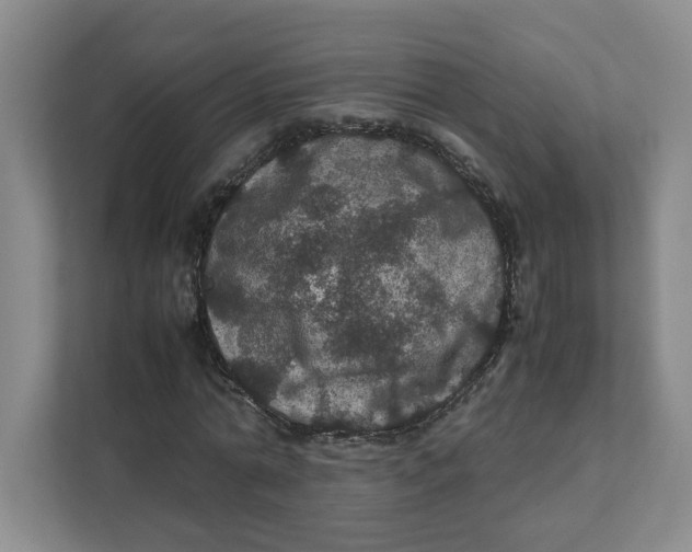 X0000111470774200908031359