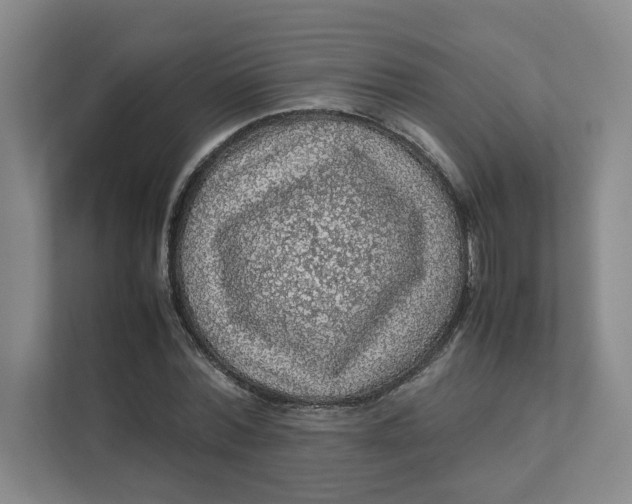 X0000111470780200908031359