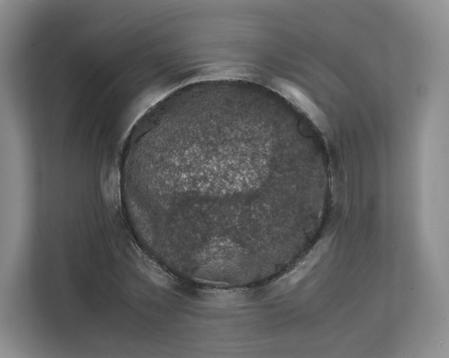 X0000111470781200908031359